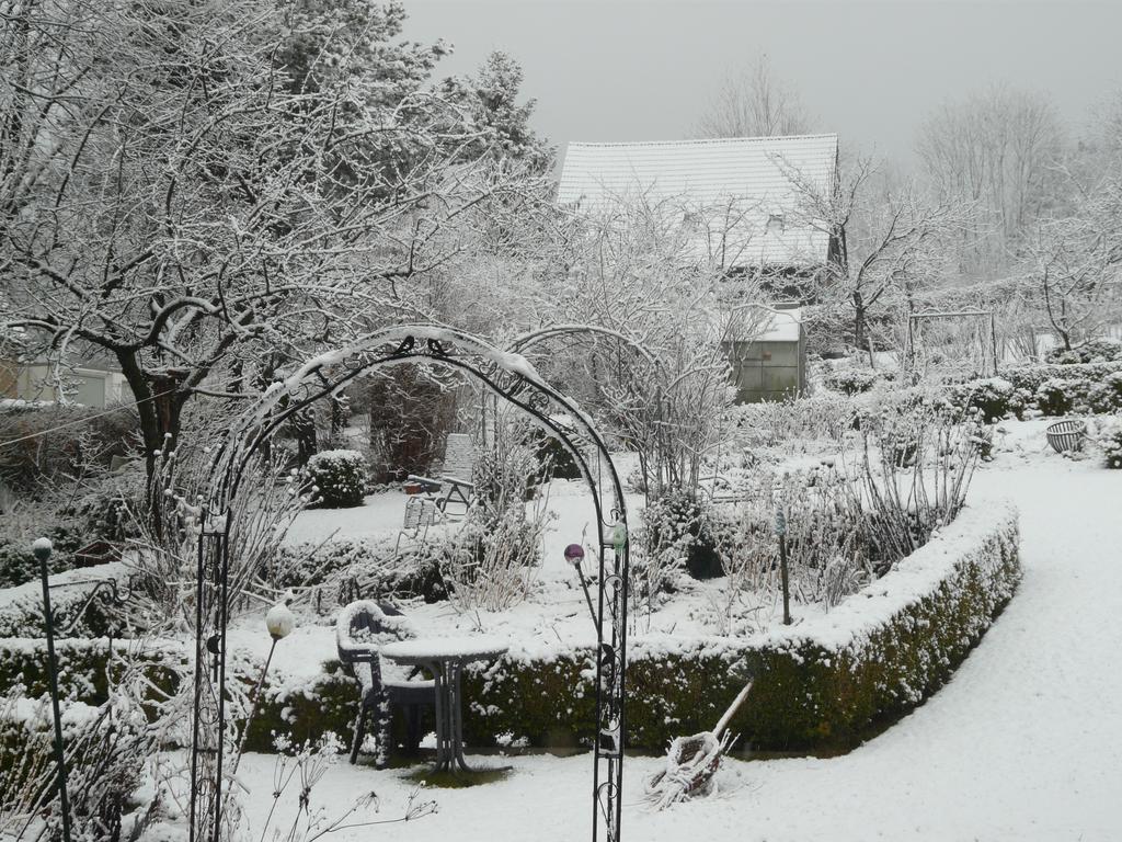Apartamento Haus Mit Aussicht Horn-Bad Meinberg Exterior foto